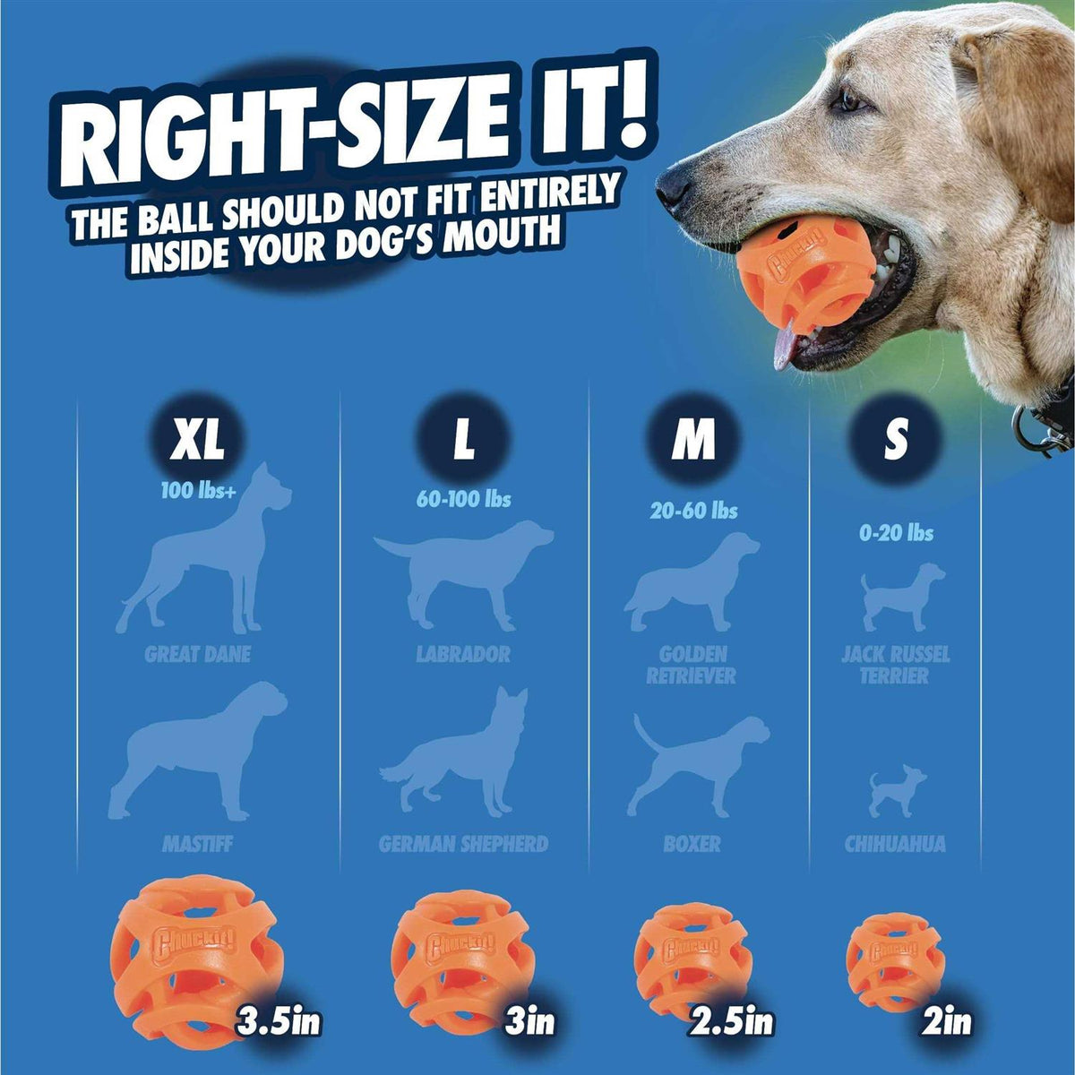 Fetch Ball R3967