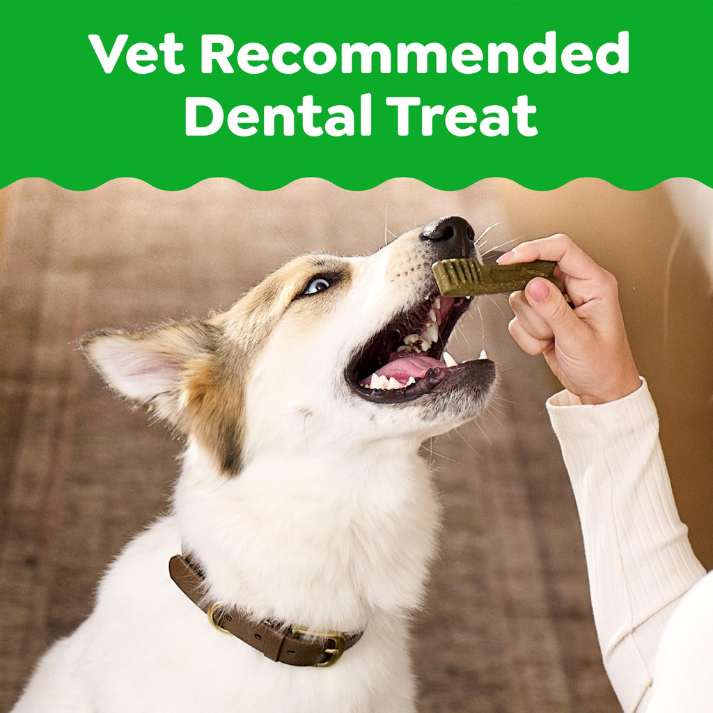 Natural Dental Dog Treats 5 Count Y51689