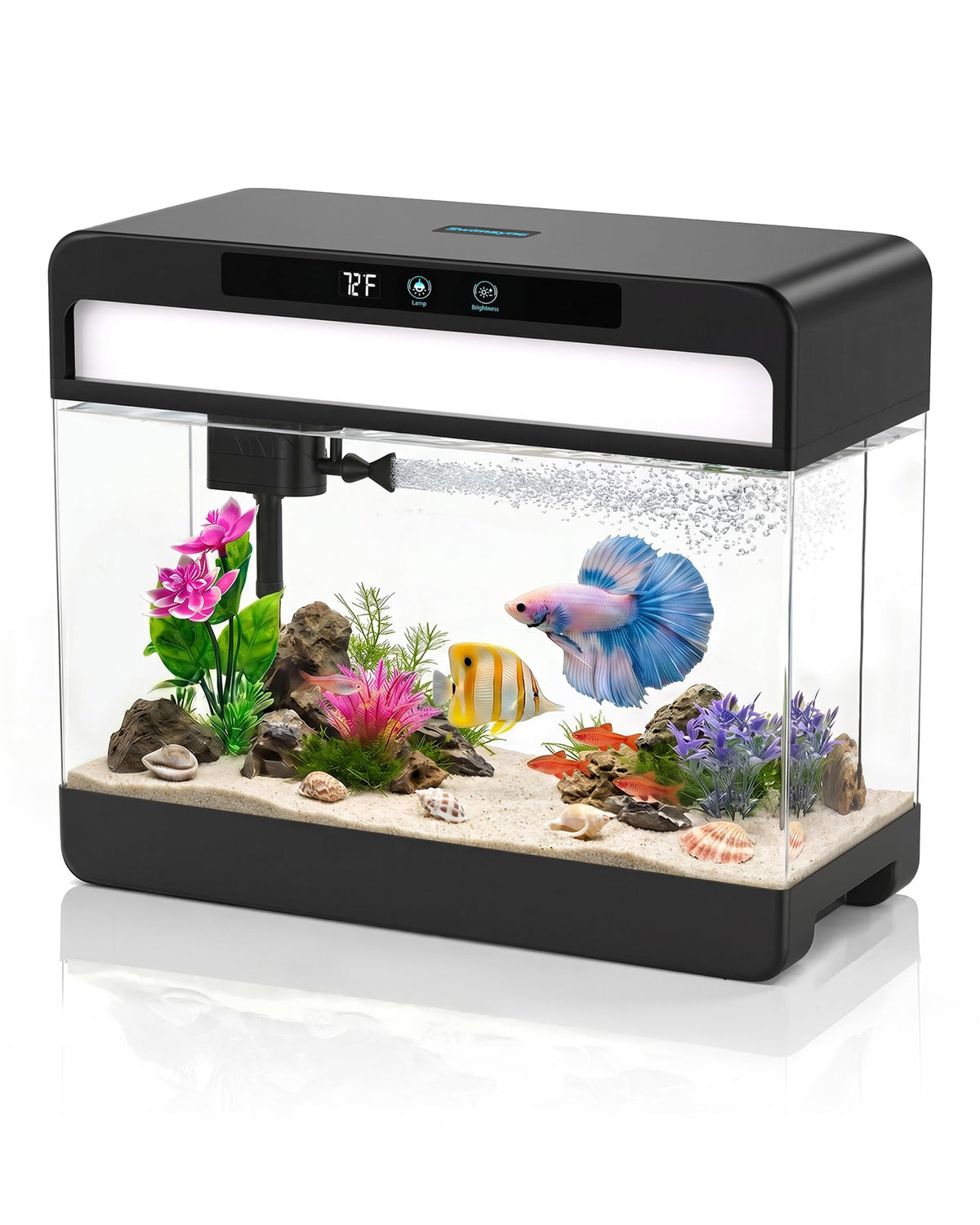 3 Gallon Fish Tank Starter Kit Z94656