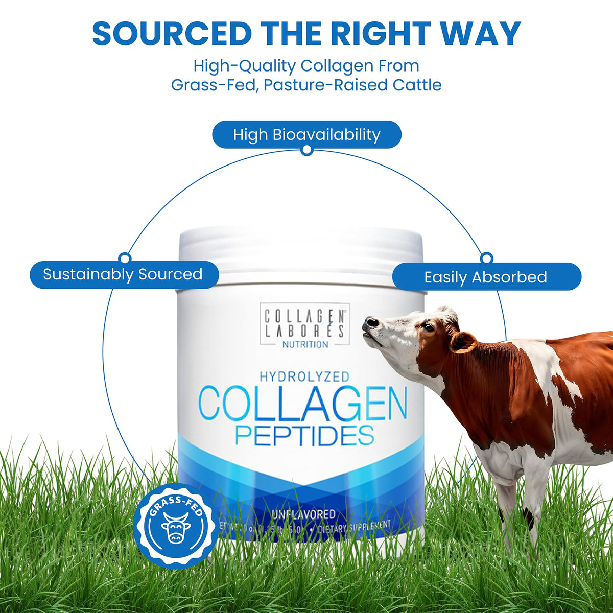 Hydrolyzed Collagen Peptides 20 oz Unflavored Powder Z3466