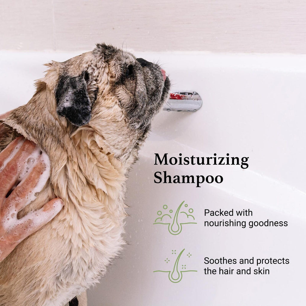 Argan Vitamin E Dog Shampoo Gallon S1708