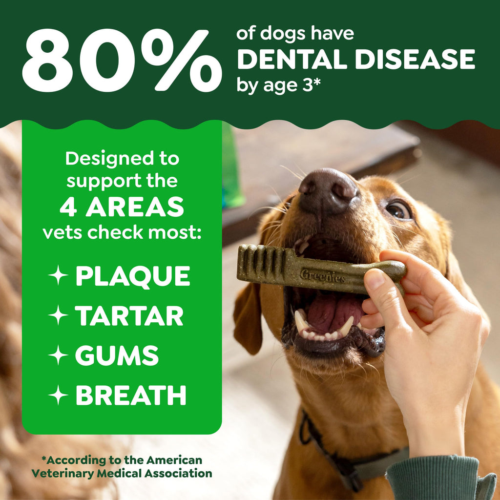 Natural Dental Dog Treats 5 Count Y51689