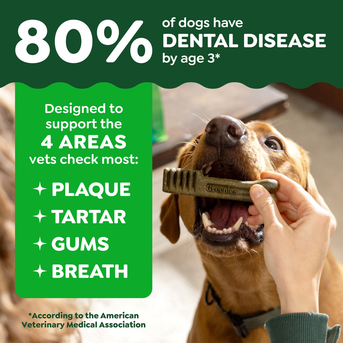 Natural Dental Dog Treats 5 Count Y51689