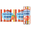 Blood Orange Sparkling Water 24 Pack B325