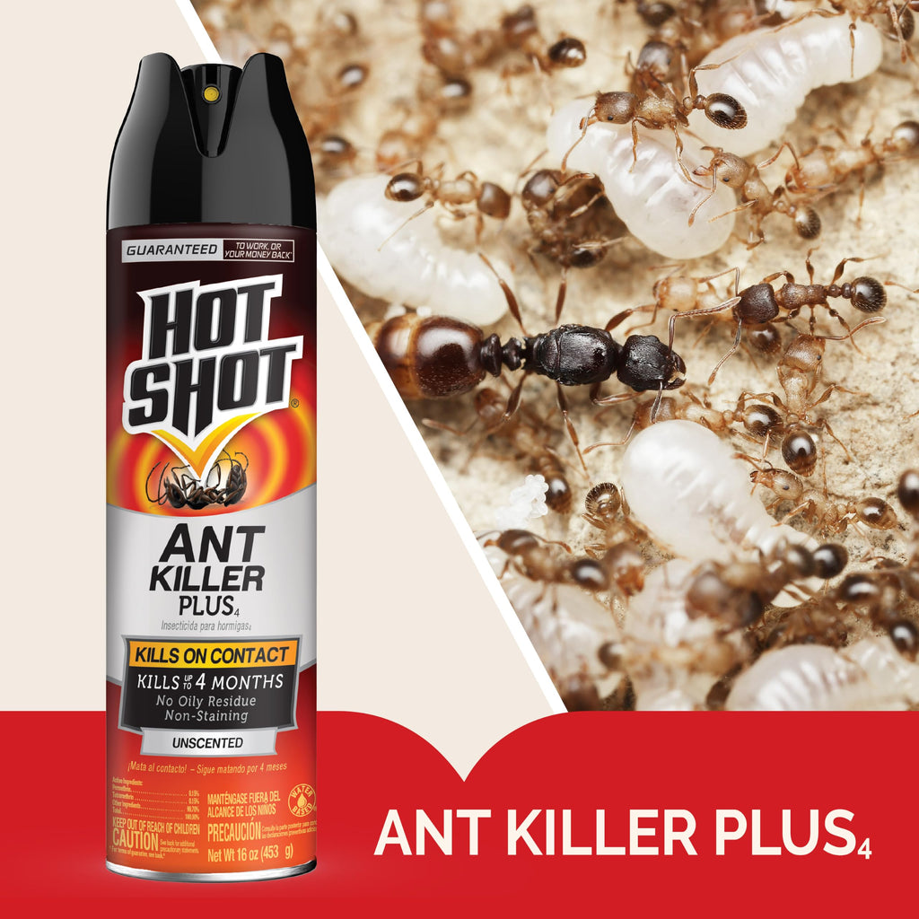 Ant Killer Plus Aerosol 16 Oz Unscented K880194