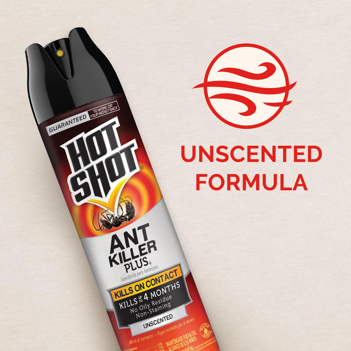 Ant Killer Plus Aerosol 16 Oz Unscented K880194