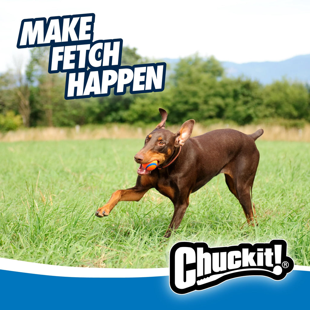 Large Floating Dog Fetch Toy U43164