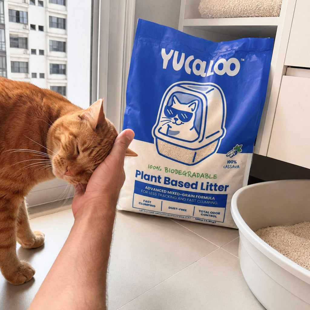 Unscented Cassava Cat Litter 10 lbs H6419