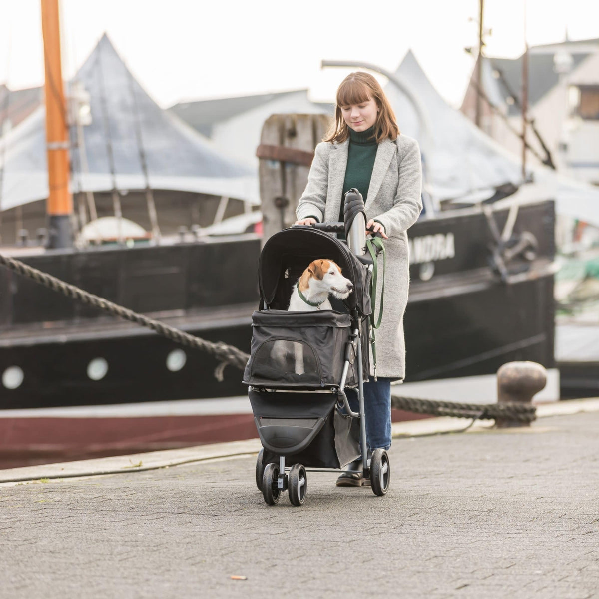 Foldable Pet Stroller with Weather Cover, Storage Basket, Cup Holder, Black C21160