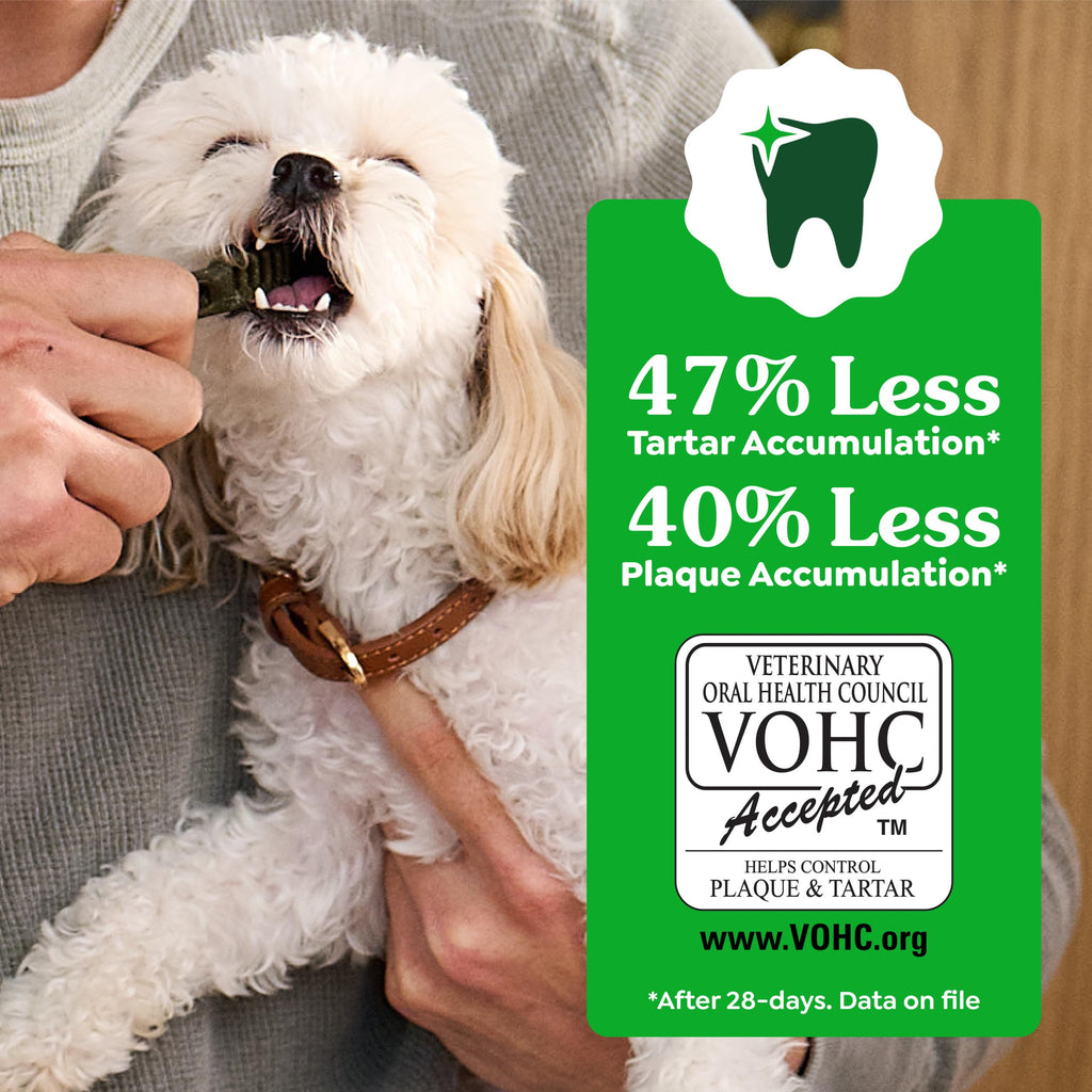 Natural Dental Dog Treats 5 Count Y51689