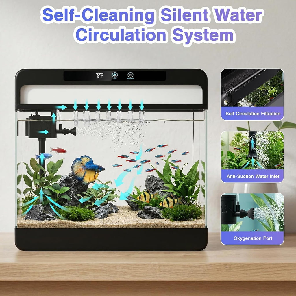 3 Gallon Fish Tank Starter Kit Z94656