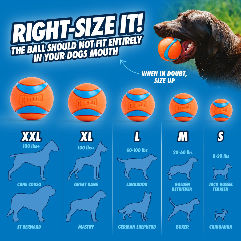 Large Floating Dog Fetch Toy U43164