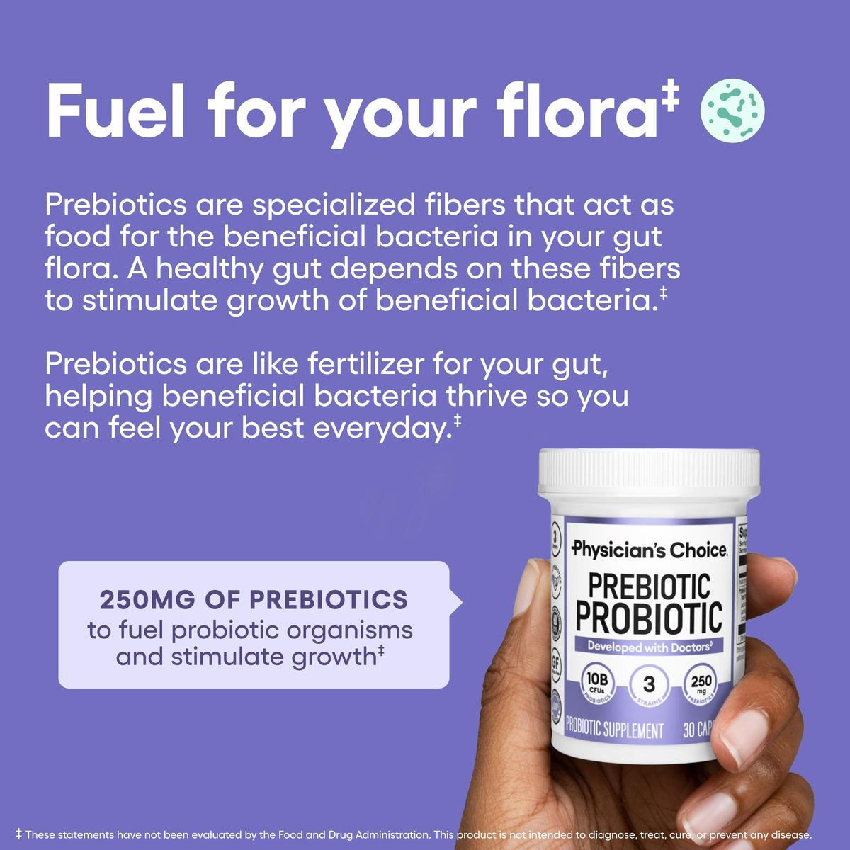 Multi-Strain Prebiotic-Probiotic K528