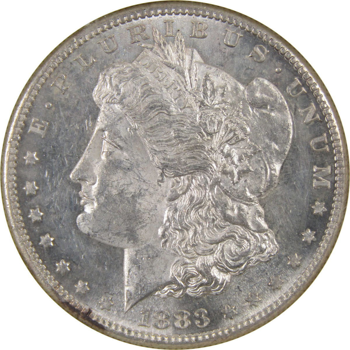 90% Silver Uncirculated Morgan Dollar Y84445