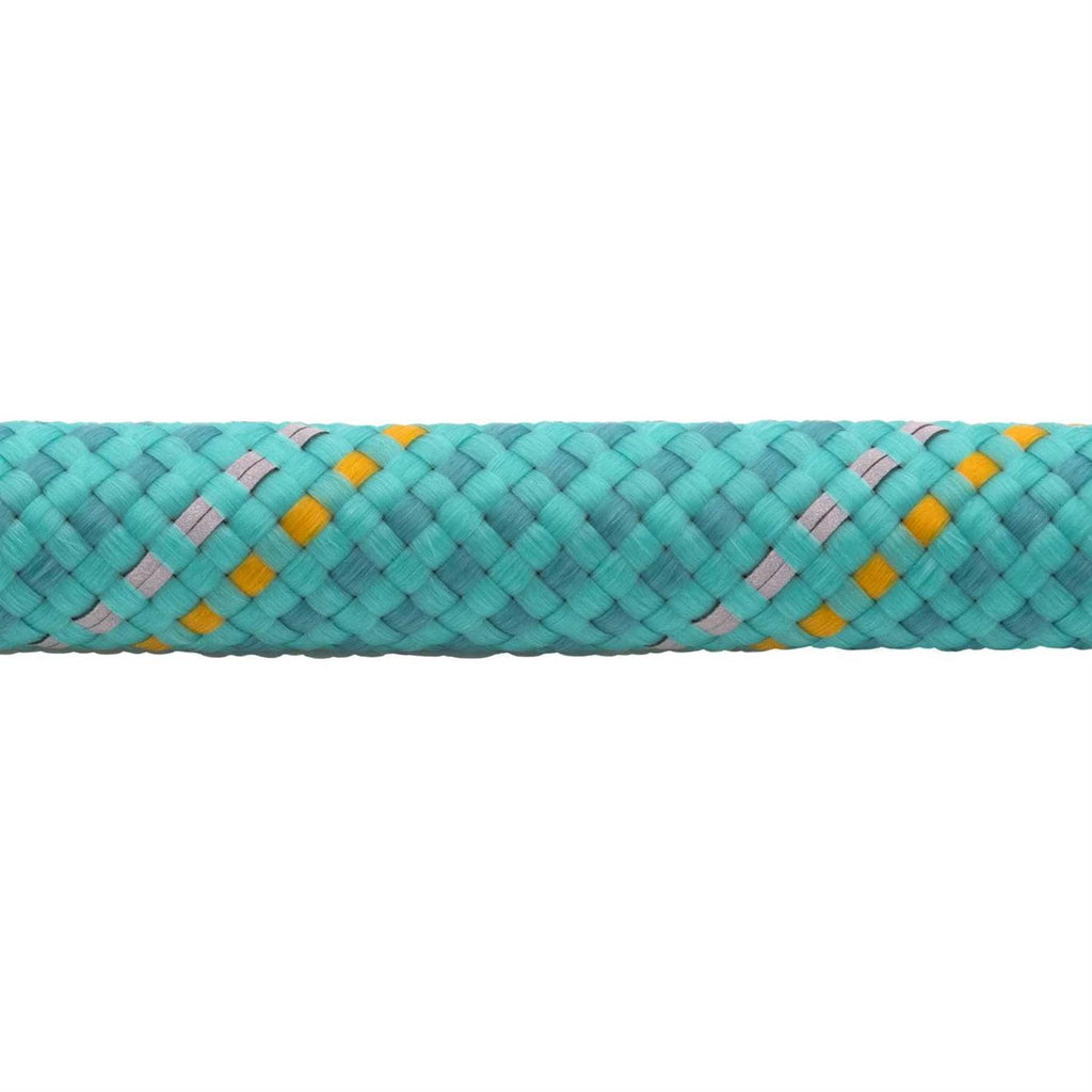 Leash Q72406