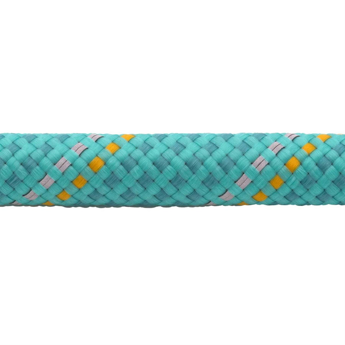 Leash Q72406