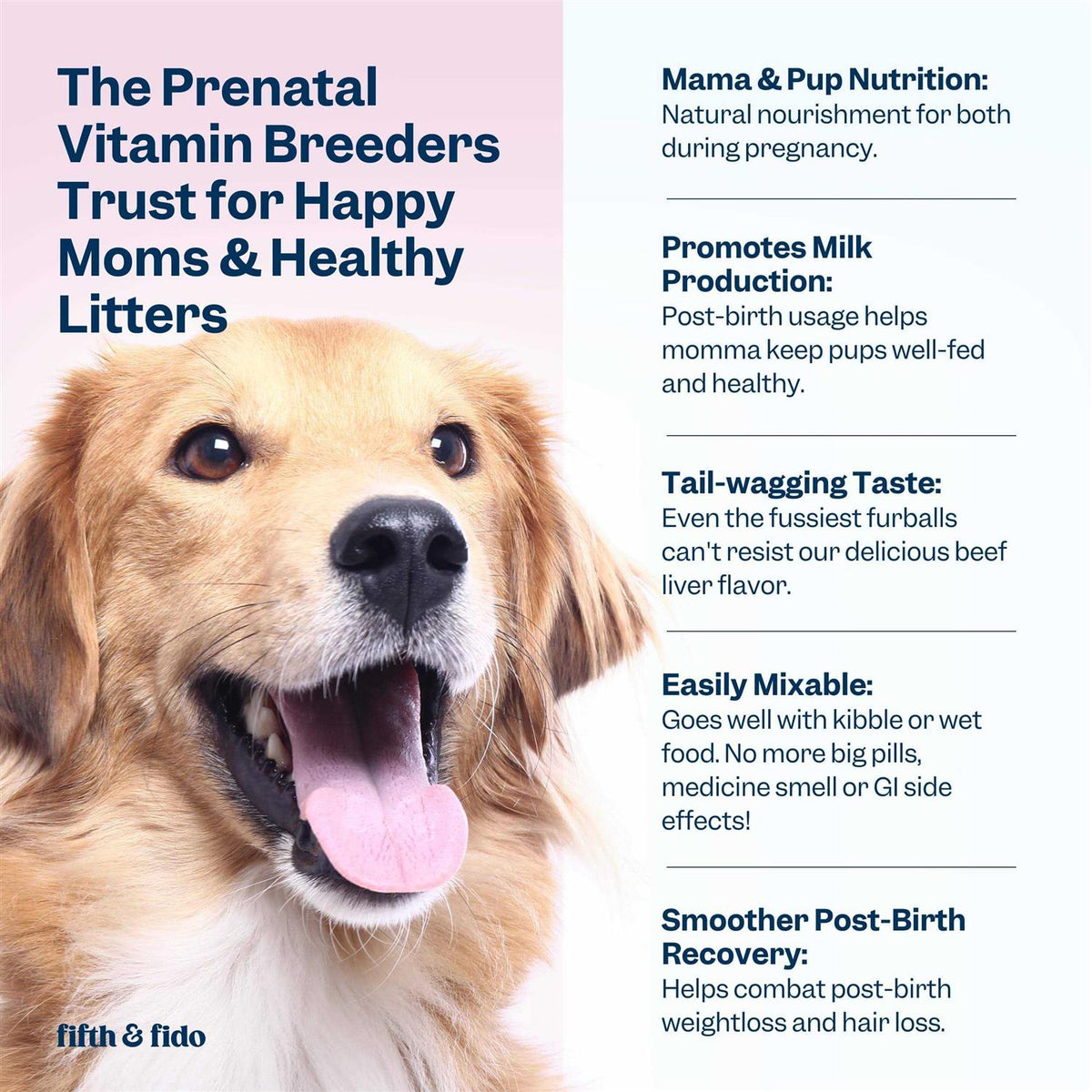 Dog Prenatal Vitamins with Iron, D3 and Folic Acid L69666