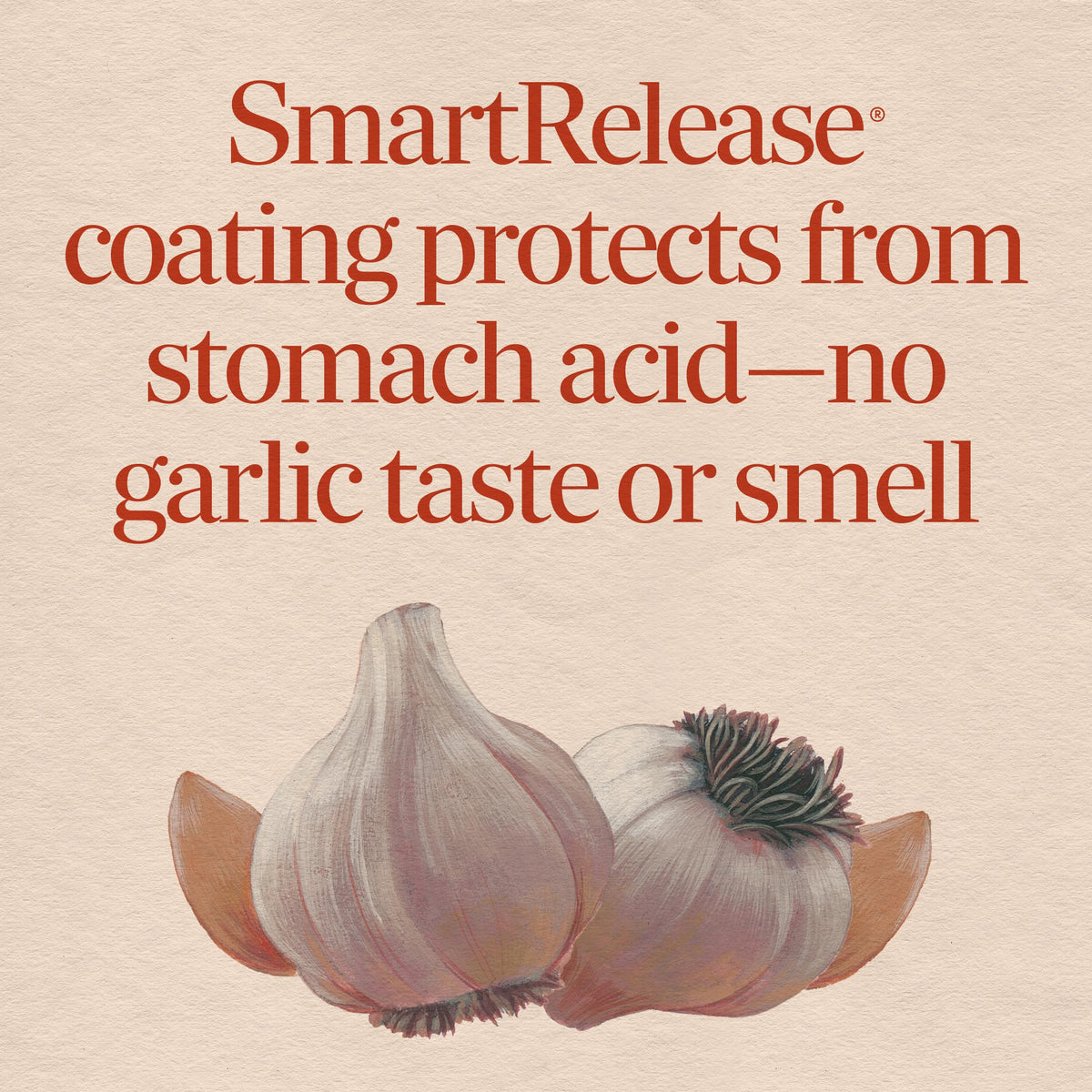 Odorless Garlic Tablets Vegan 180 ct K7541