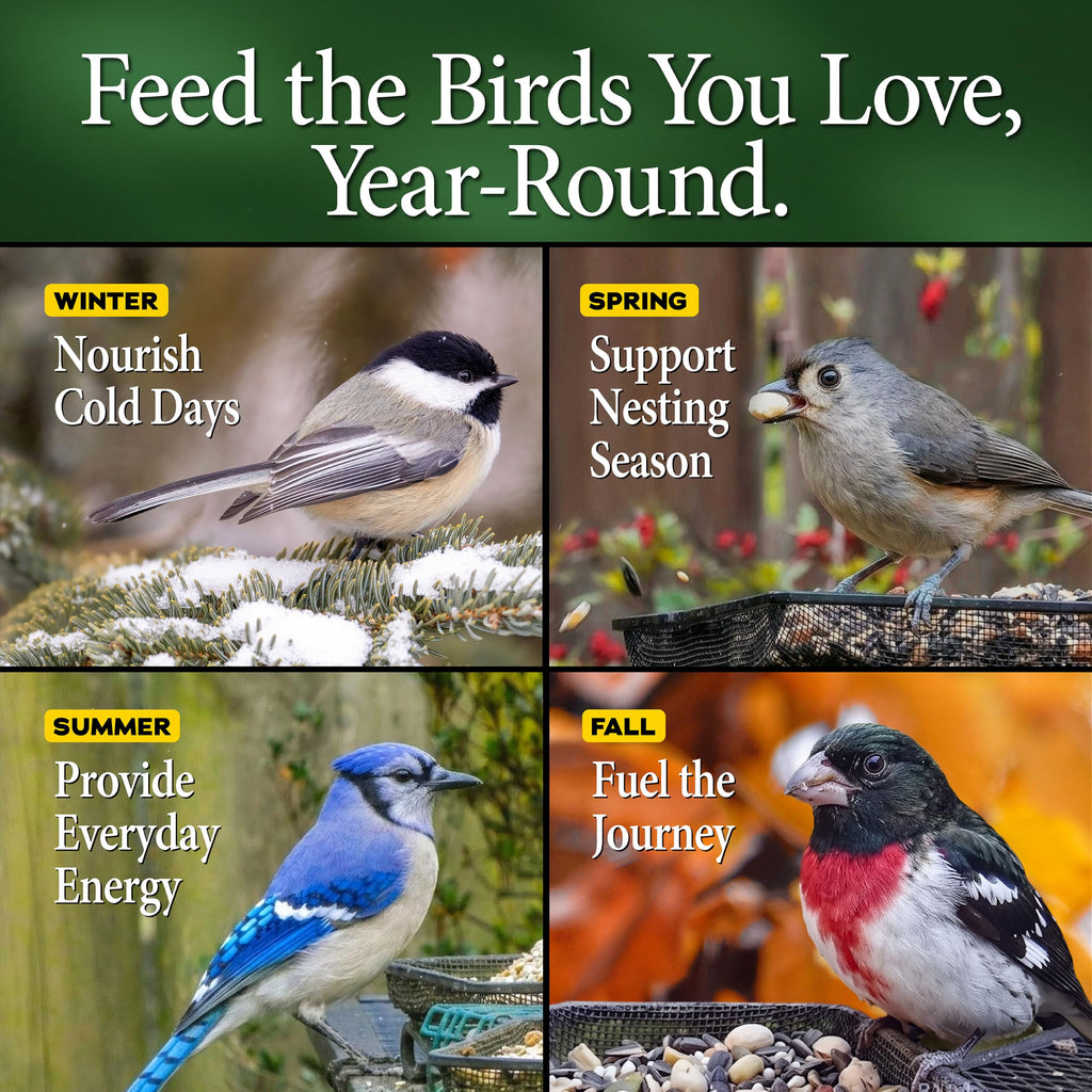 20 lb Nut N-Berry Birdfood X129