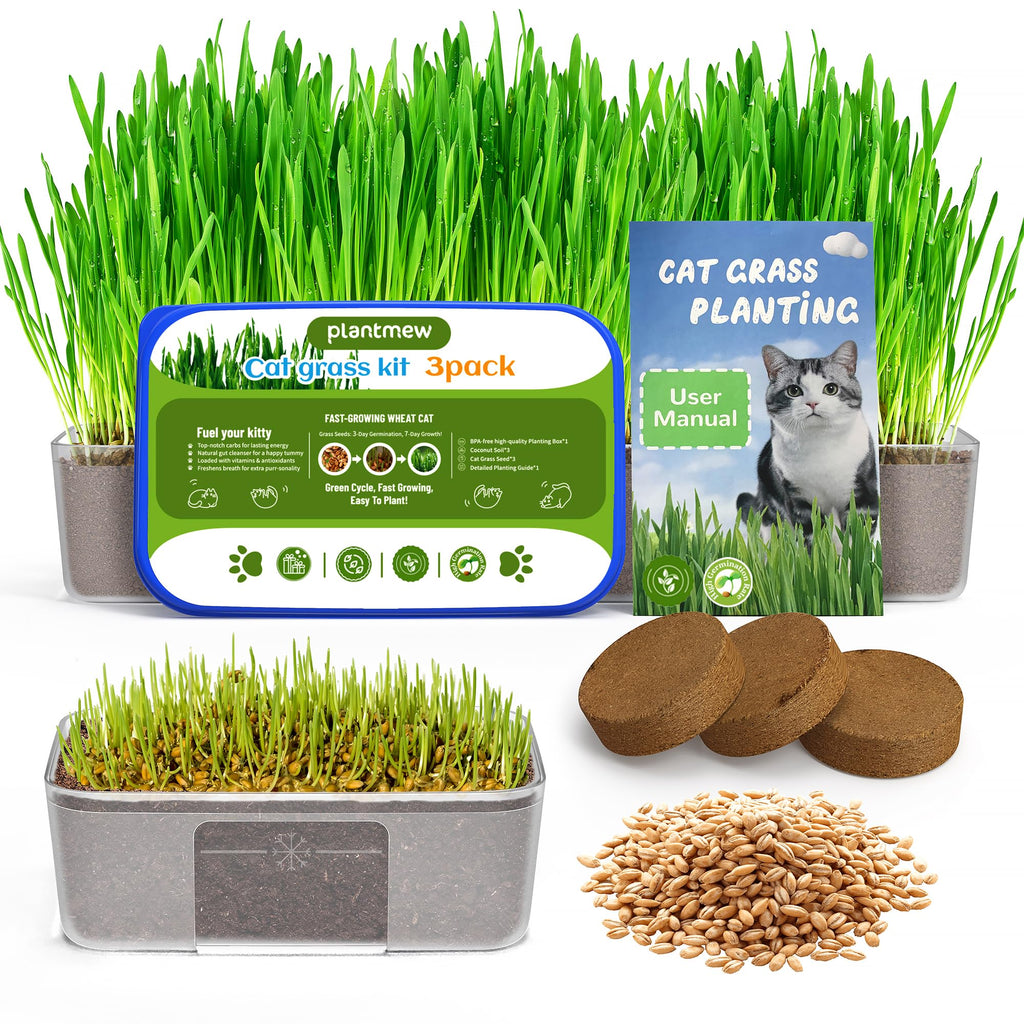 Cat Grass Growing Kit with Wheat Seeds, BPA-Free Planter & Soil, 3 Pack Z433