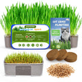 Cat Grass Growing Kit with Wheat Seeds, BPA-Free Planter & Soil, 3 Pack Z433