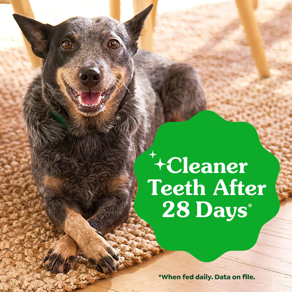 Natural Dental Dog Treats 5 Count Y51689