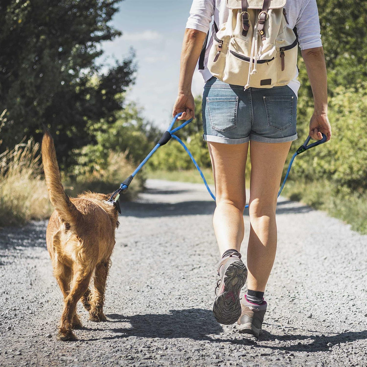 Dog Rope Leash S776