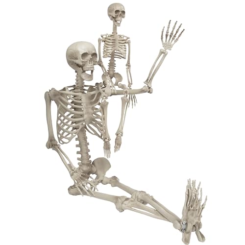 Life Size Posable Skeleton 2 Pack Z9922