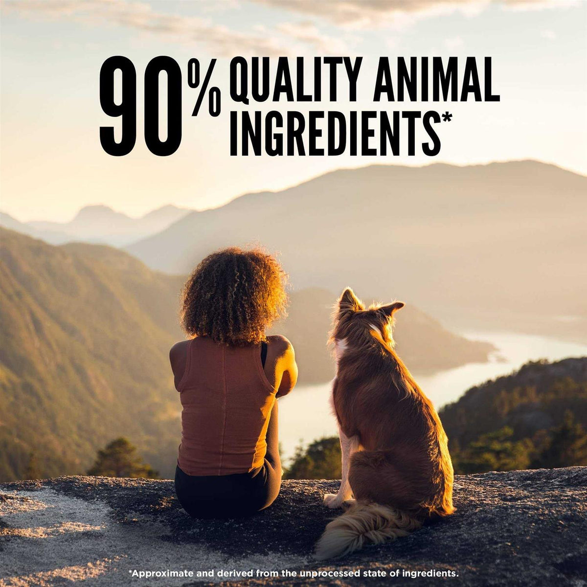 Freeze Dried Dog Food A25159