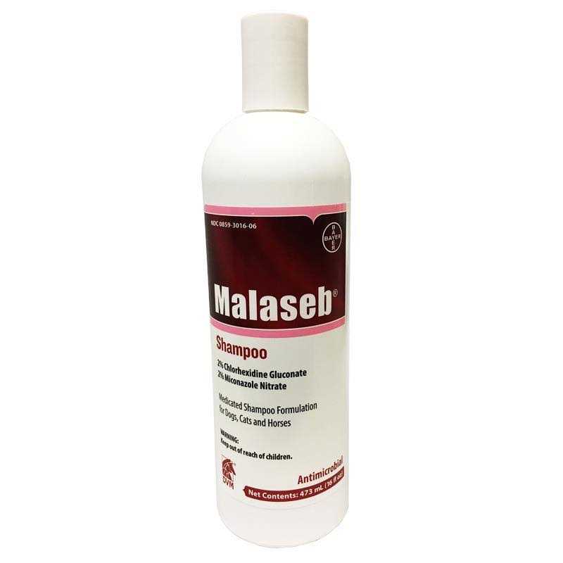Malaseb Shampoo 16 oz J1854