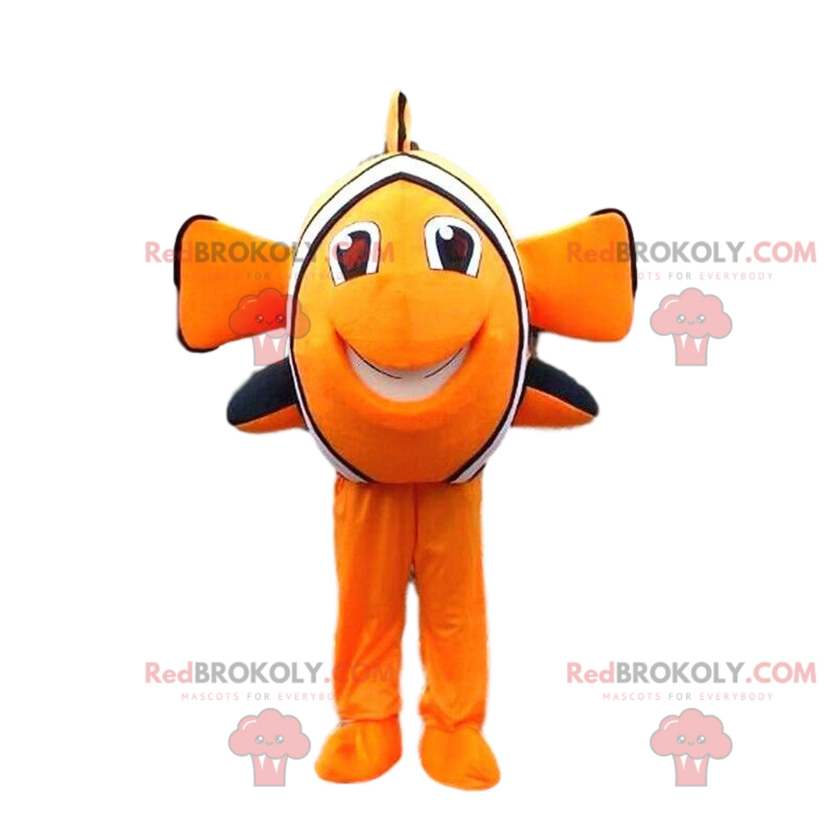 Clownfish Q25219
