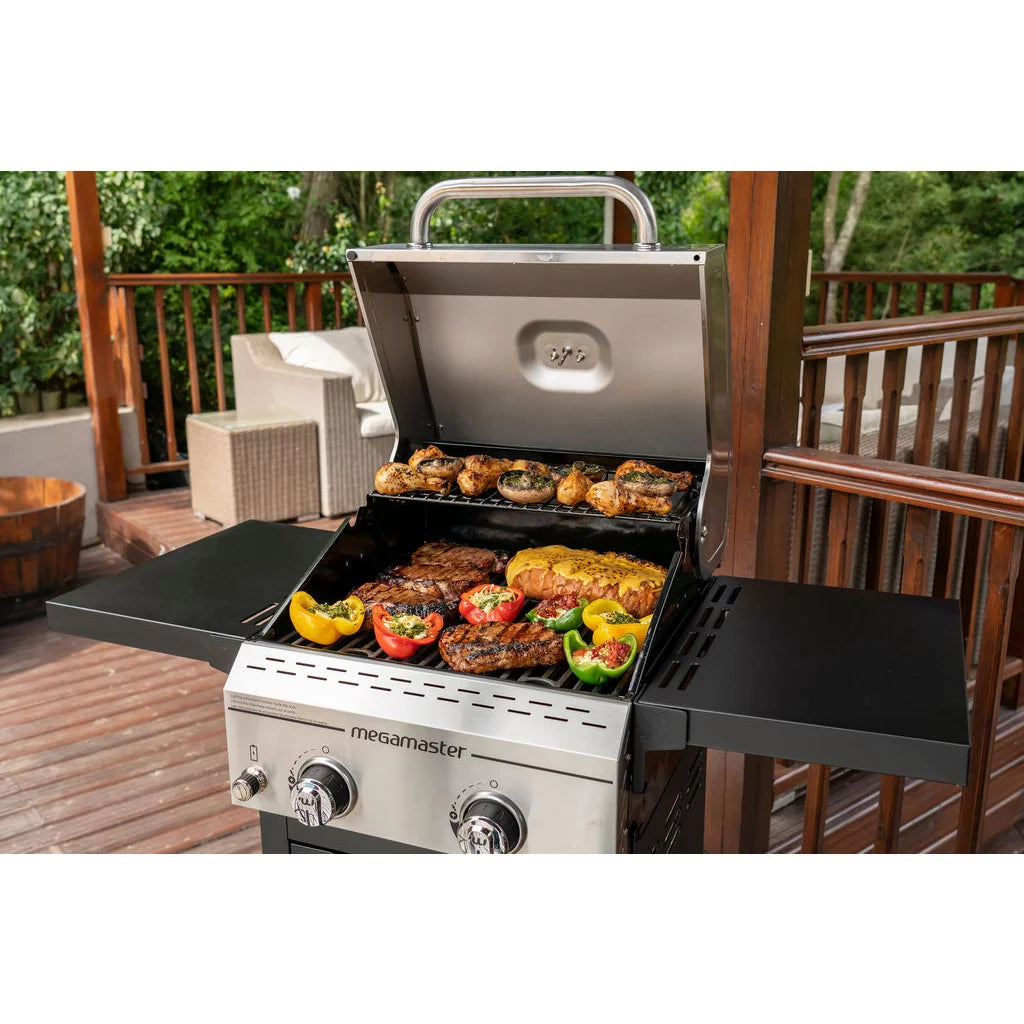 2 Burner Propane Gas Grill D835970