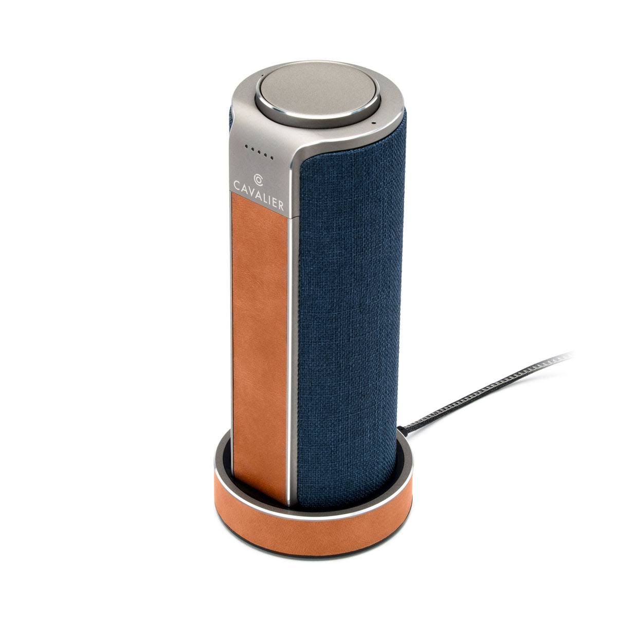 Blue Portable Smart Speaker D214