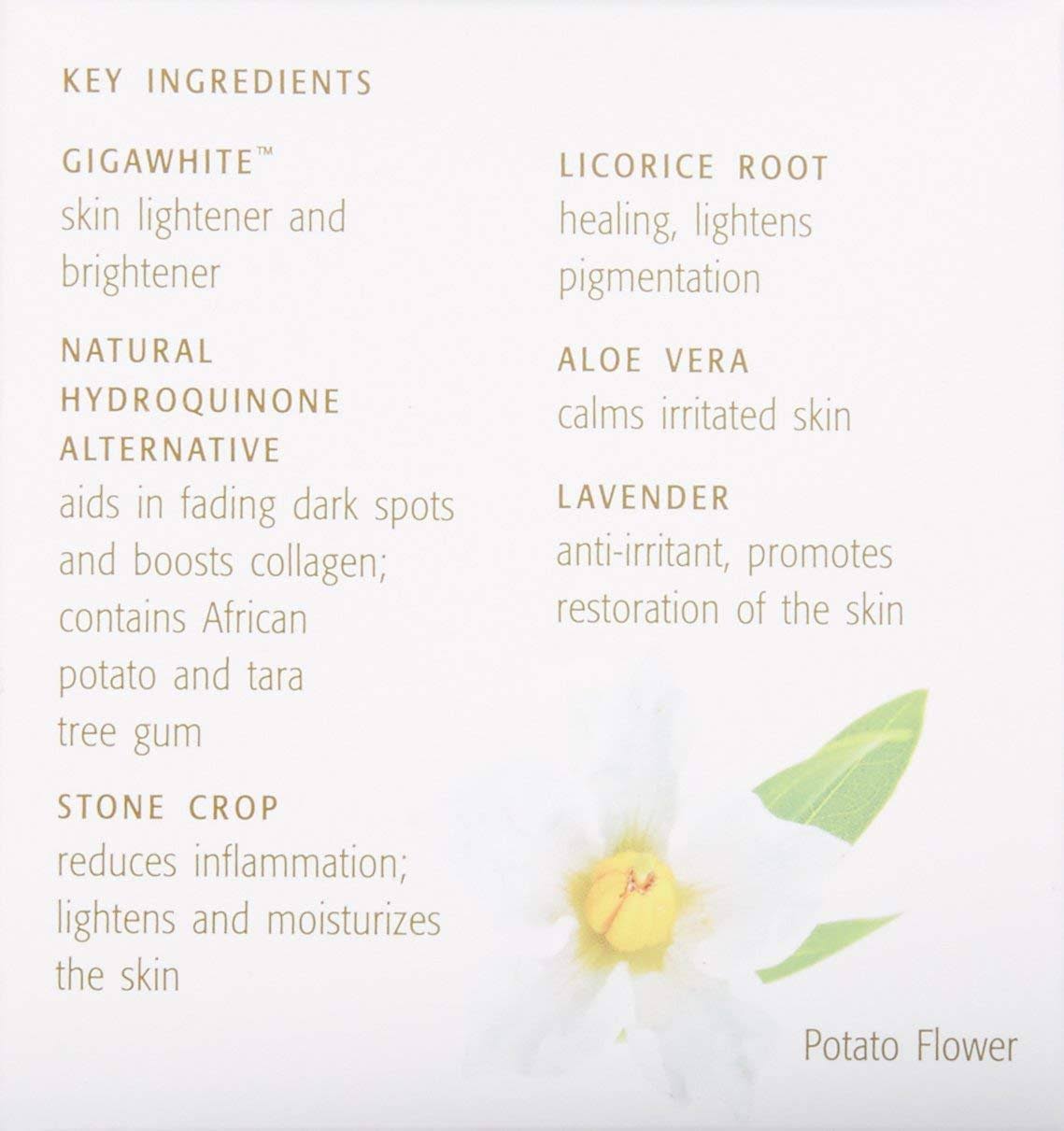 Bright Skin Masque - 2 oz L6629