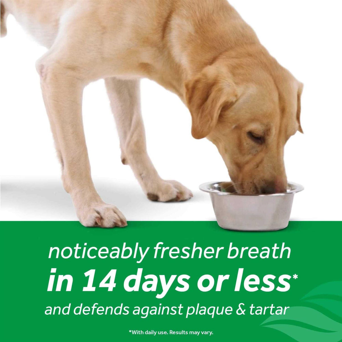 Dog Oral Care Water Additive V861