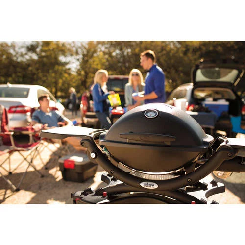 Portable Gas Grill, Black C655