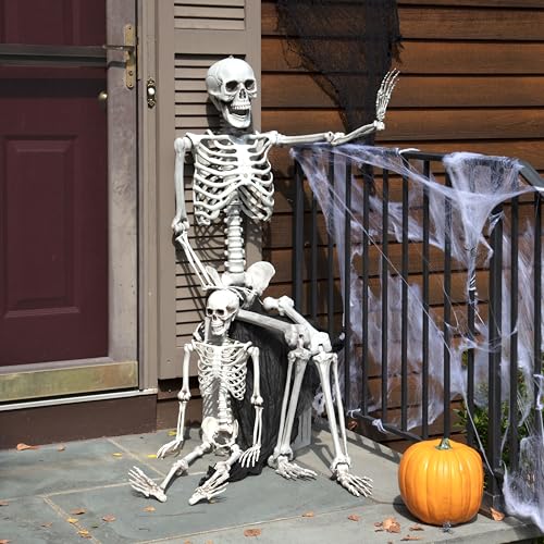 Life Size Posable Skeleton 2 Pack Z9922