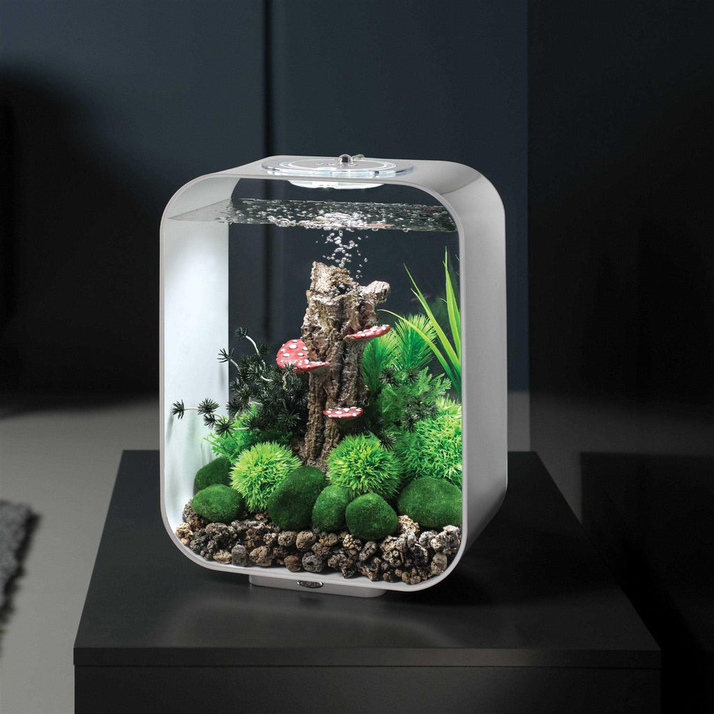 15 Aquarium with MCR Light H10394