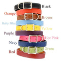 Leather Dog Collar U35551