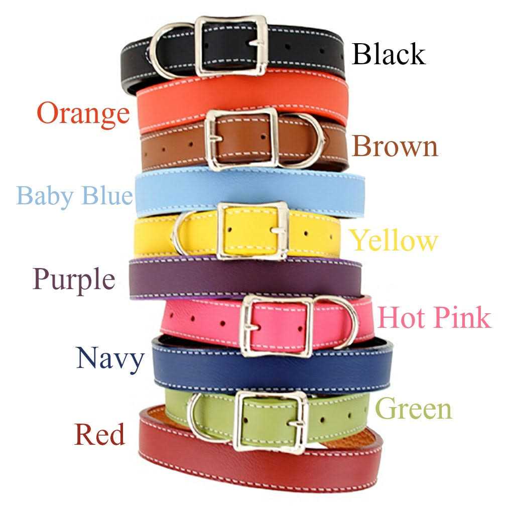 Leather Dog Collar U35551