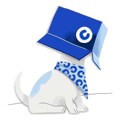 Flea and Tick Treatment for Small Dogs E31112