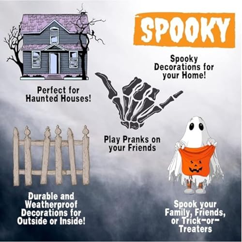 Life Size Posable Skeleton 2 Pack Z9922