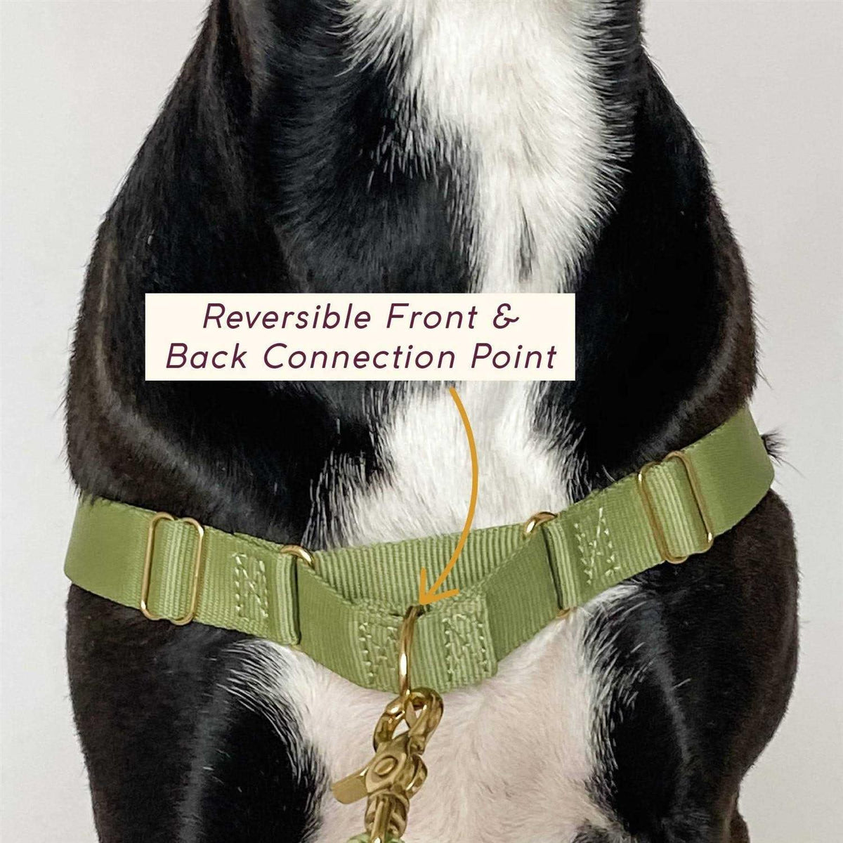 Harness S9018