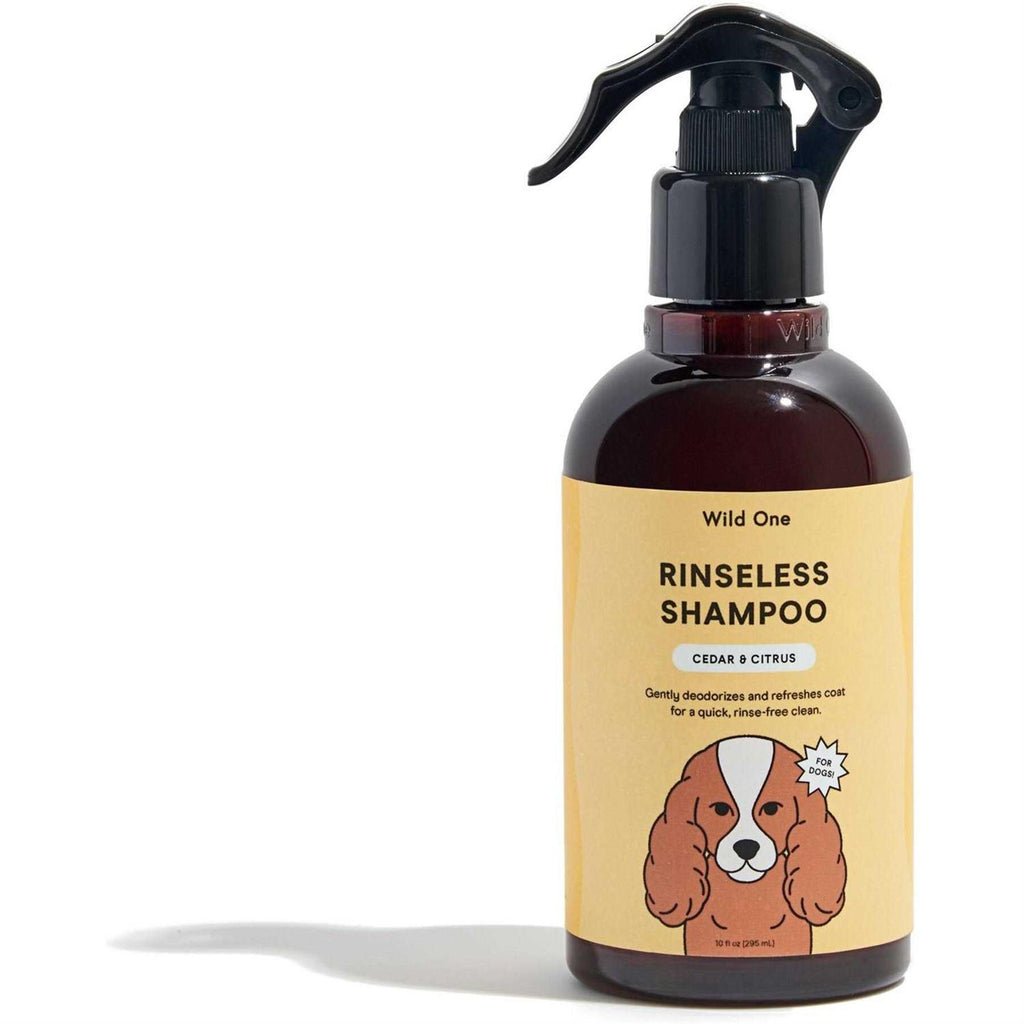 Rinseless Shampoo D5474