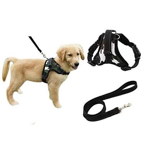 Adjustable Reflective No-Pull Padded Dog Harness with Leash Set D79978