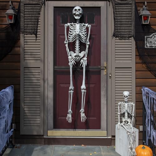 Life Size Posable Skeleton 2 Pack Z9922