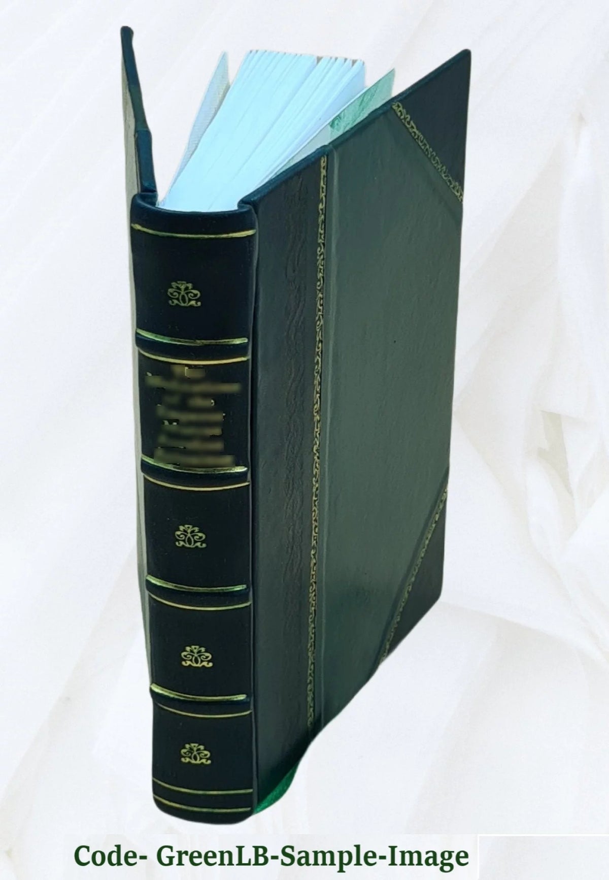 The old Oregon trail 1852-1906 Leather Bound H99238