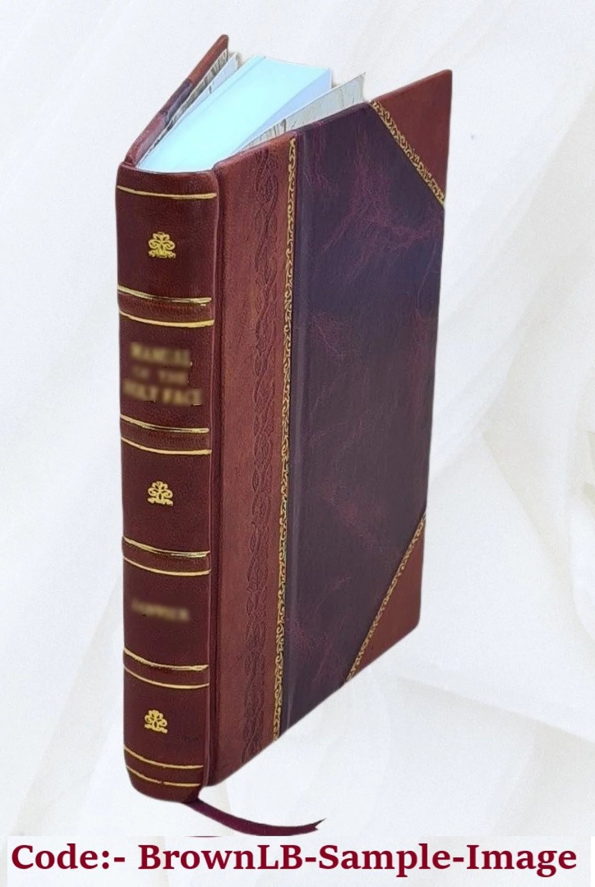 The old Oregon trail 1852-1906 Leather Bound H99238