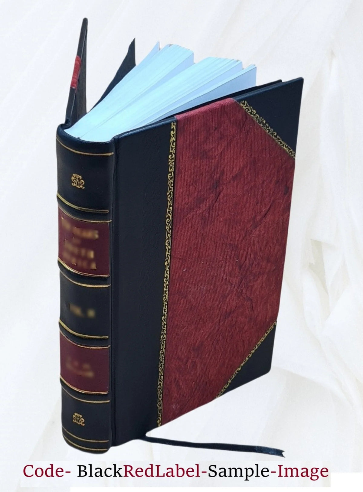 The old Oregon trail 1852-1906 Leather Bound H99238